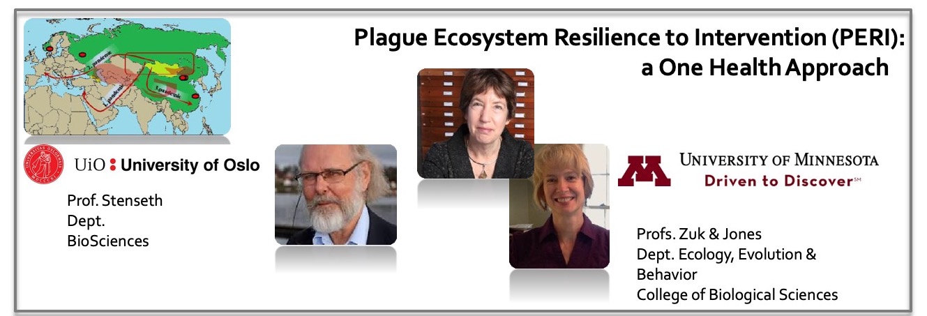 Plague ecosystem team
