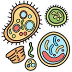 Microbiology-Club