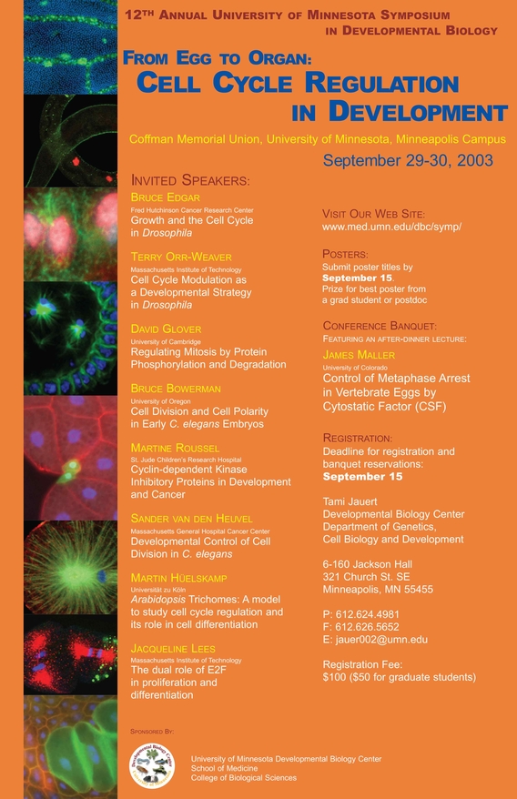 12th Annual DBC Symposium poster. Titled "From Egg To Organ: Cell Cycle Regulation In Development"
