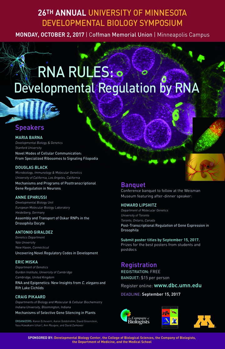 26th Annual DBC Symposium poster. Titled "RNA Rules: Developmental Regulation by RNA"