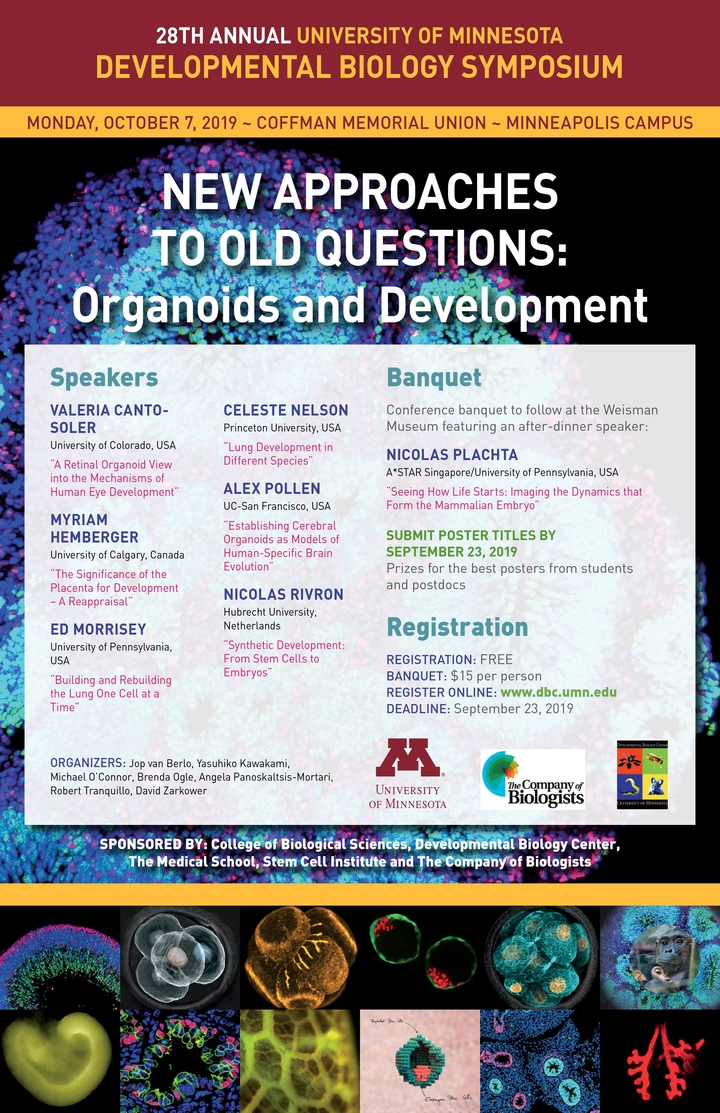 28th Annual DBC Symposium poster. Titled "New Approaches To Old Questions: Organoids and Development"