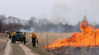 workers set a prairie on fire as part of their management plan