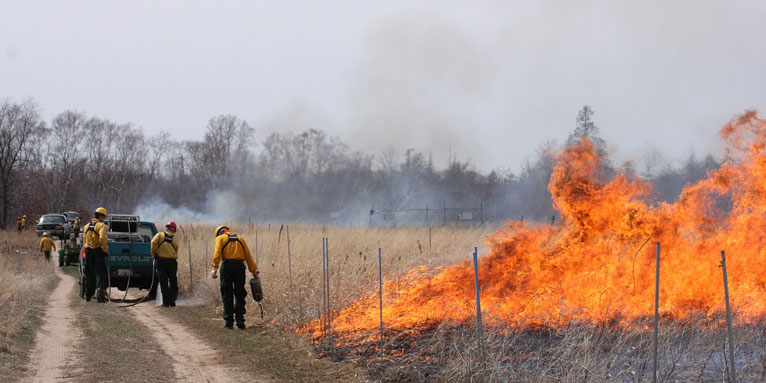 workers set controlled fire to manage prairie