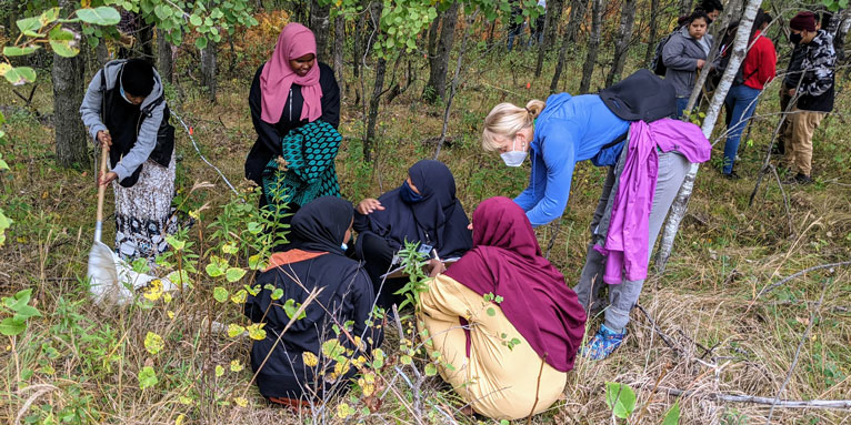 students work together on a project sitting in the forest