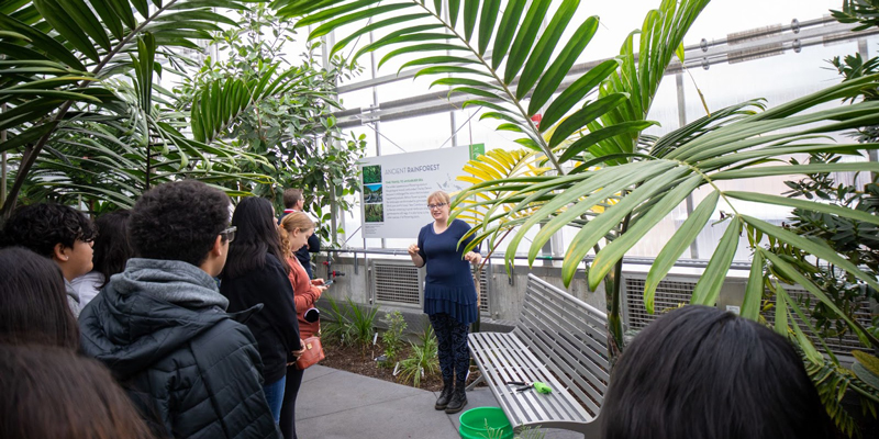 Students explore some of the plant life at the CBS Conservatory.