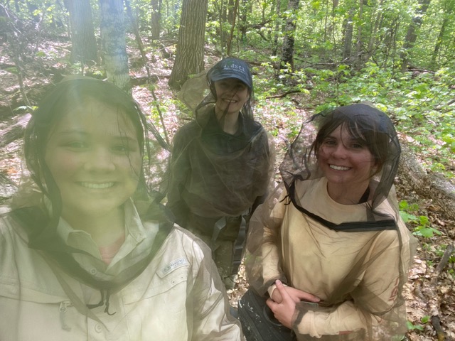 Two research interns from White Earth Nation with a grad student in the woods. All are smiling and wearing mosquito nets.