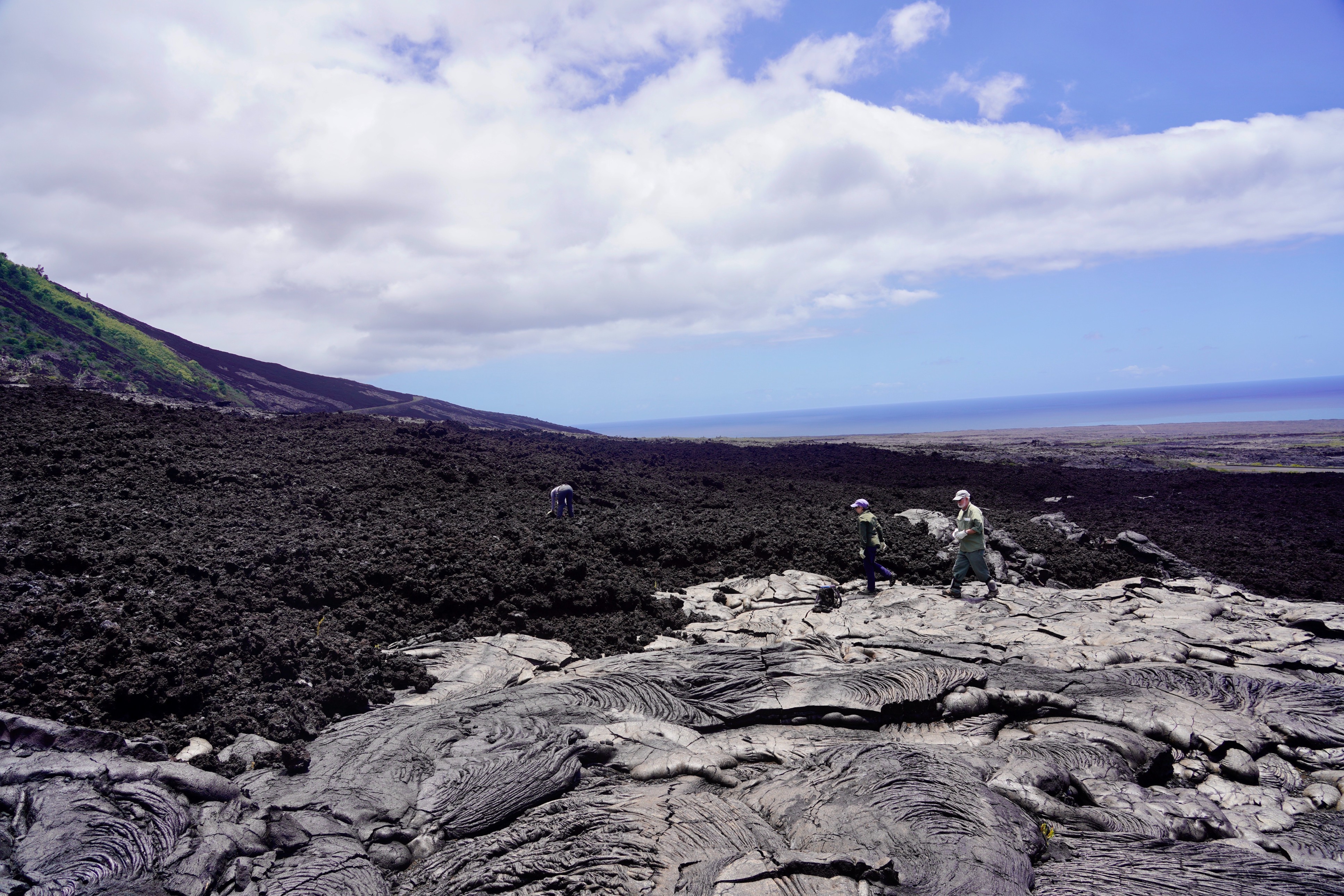A lava field in Hawaii
