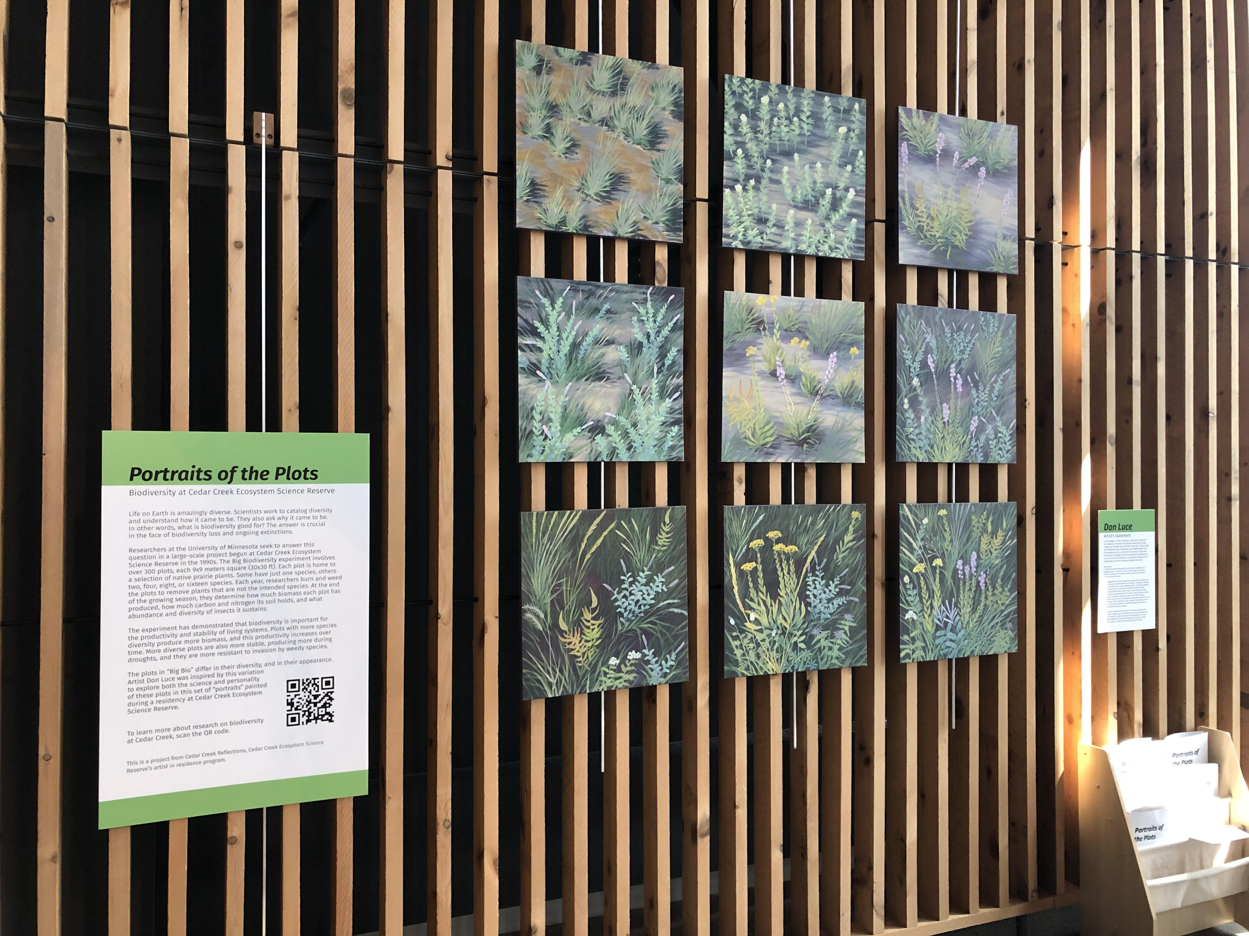 photo of museum exhibit featuring 9 square paintings of prairie plants