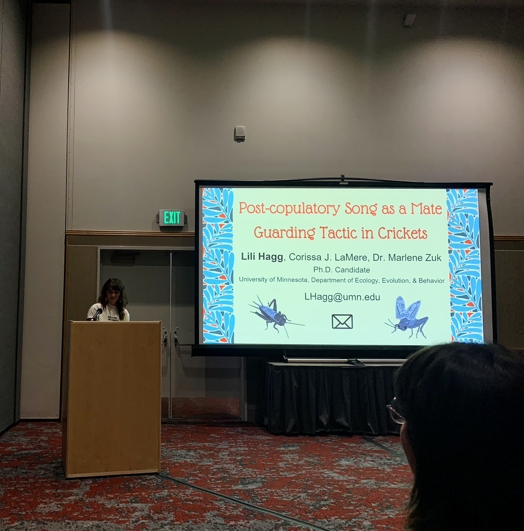 Photo of a presentation at a conference 
