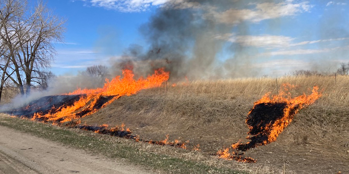 Prairie burn in progress as fire burns up a small hill.