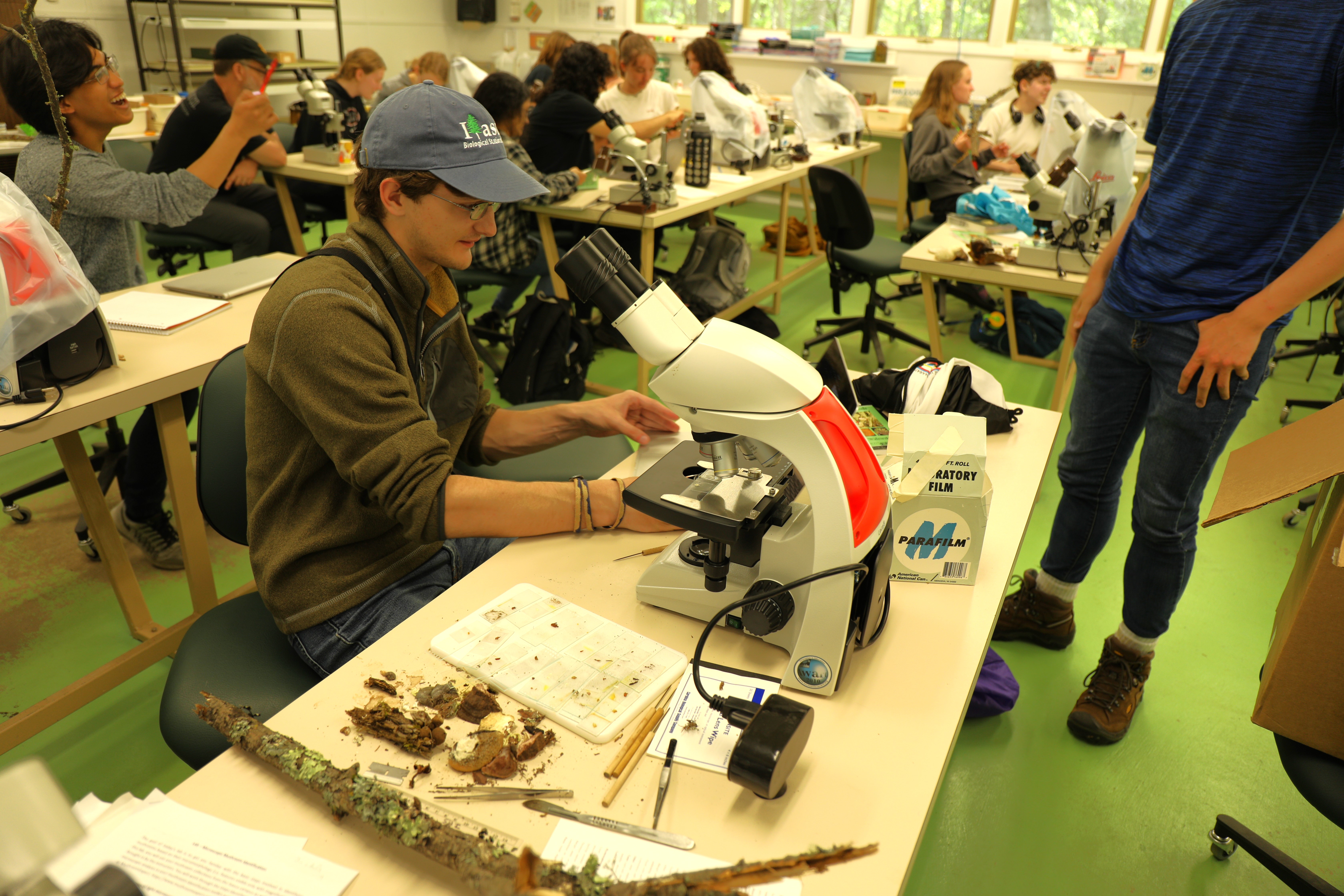 Students sitting at microscopes, looking at specimens from the field