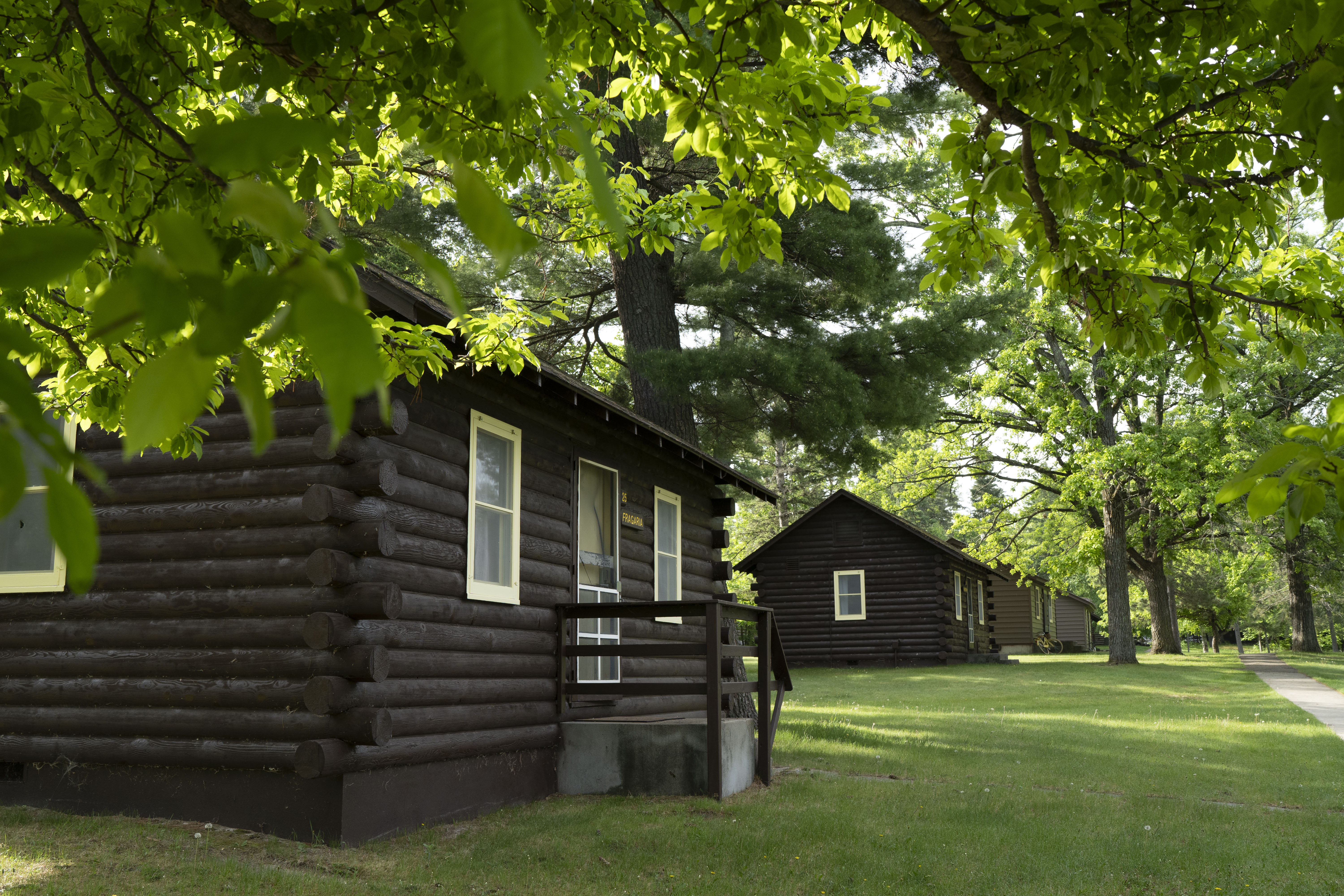 Front row of south-side student bunkhouse cabins at Itasca Station. Cabins shown are small, brown, log-style buildings.