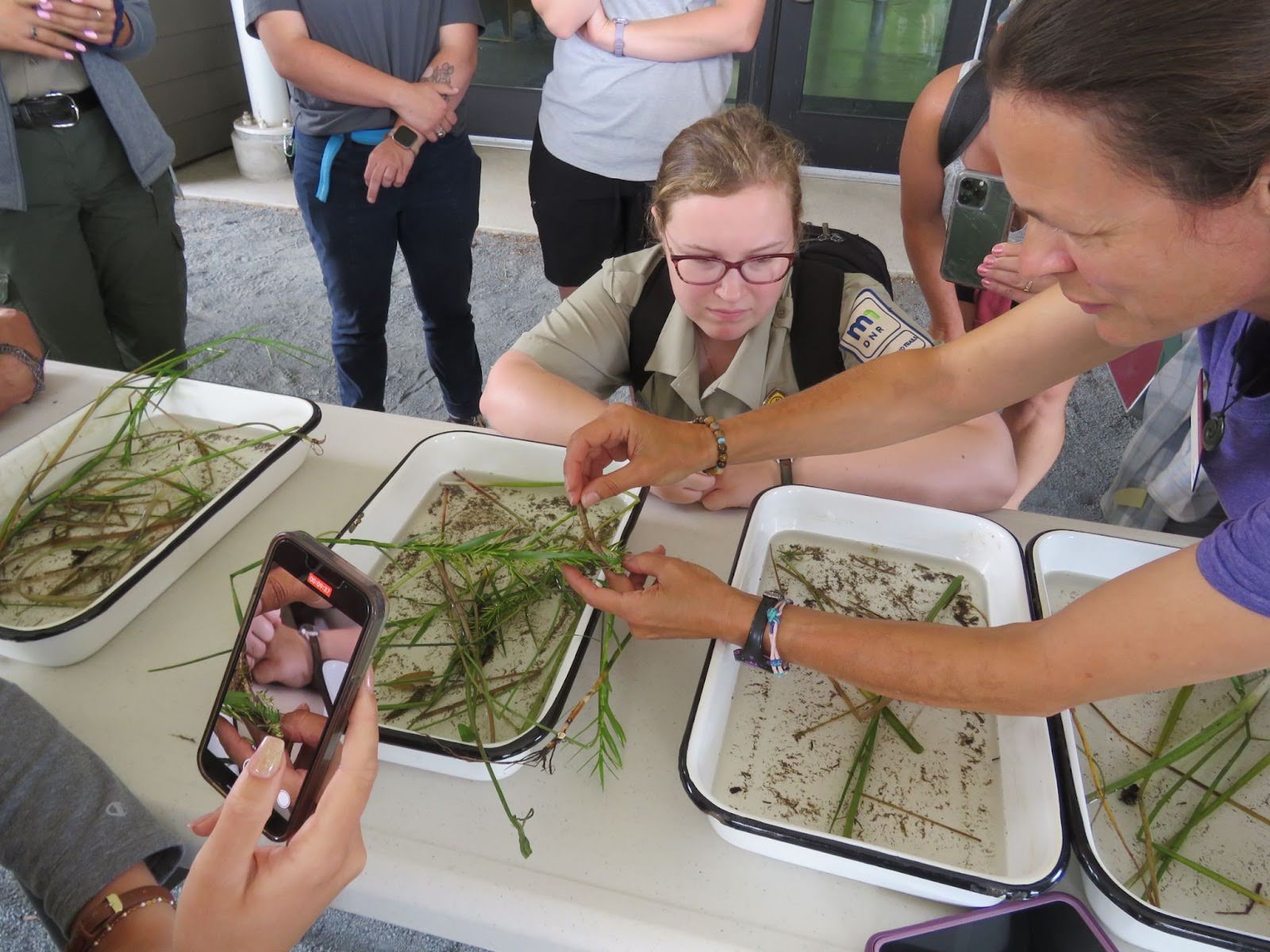 Emily Schilling shows the public dragonfly nymphs as part of a Nature of Science outreach event.