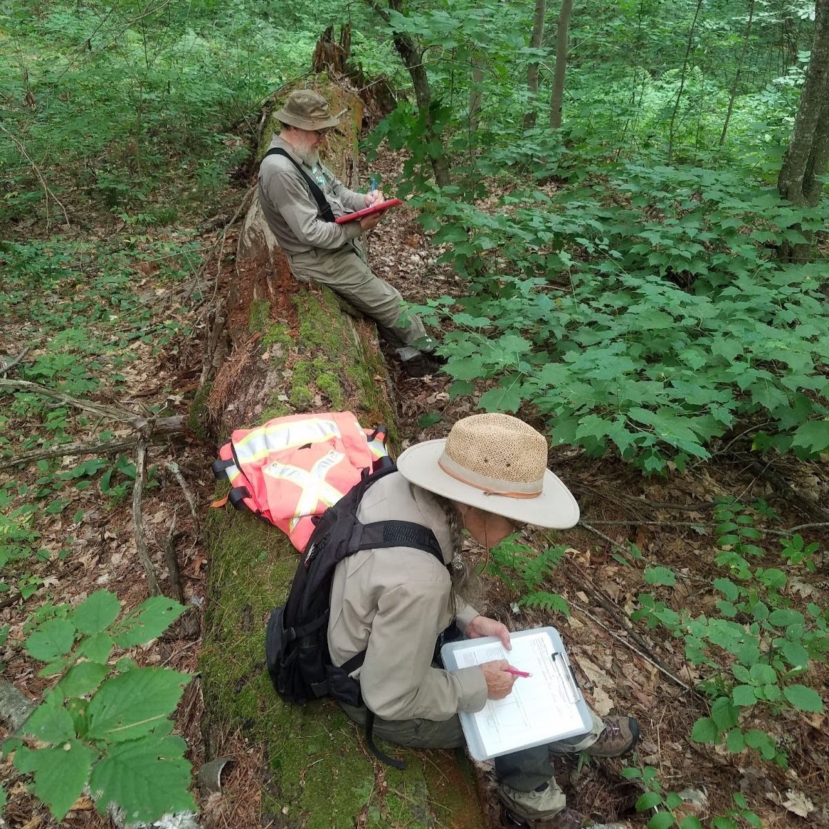 Two researchers sitting on a fallen tree in the woods, writing notes.