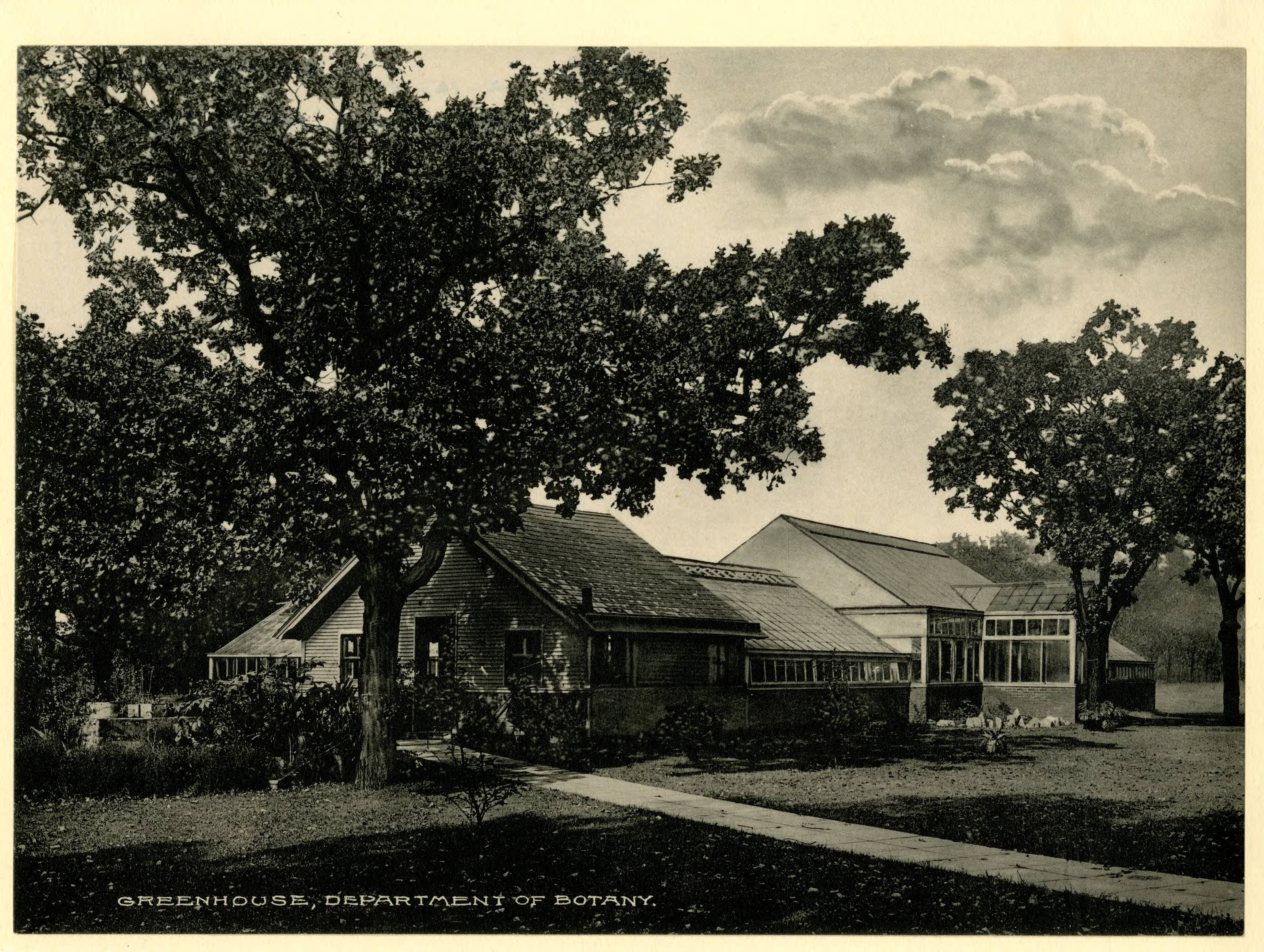 A sepia photograph of an early 20th century greenhouse with large stately trees outside