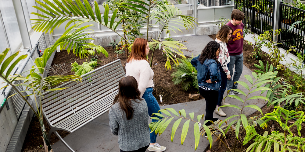 Students walking through the CBS Conservatory & Botanical collection, looking at plants