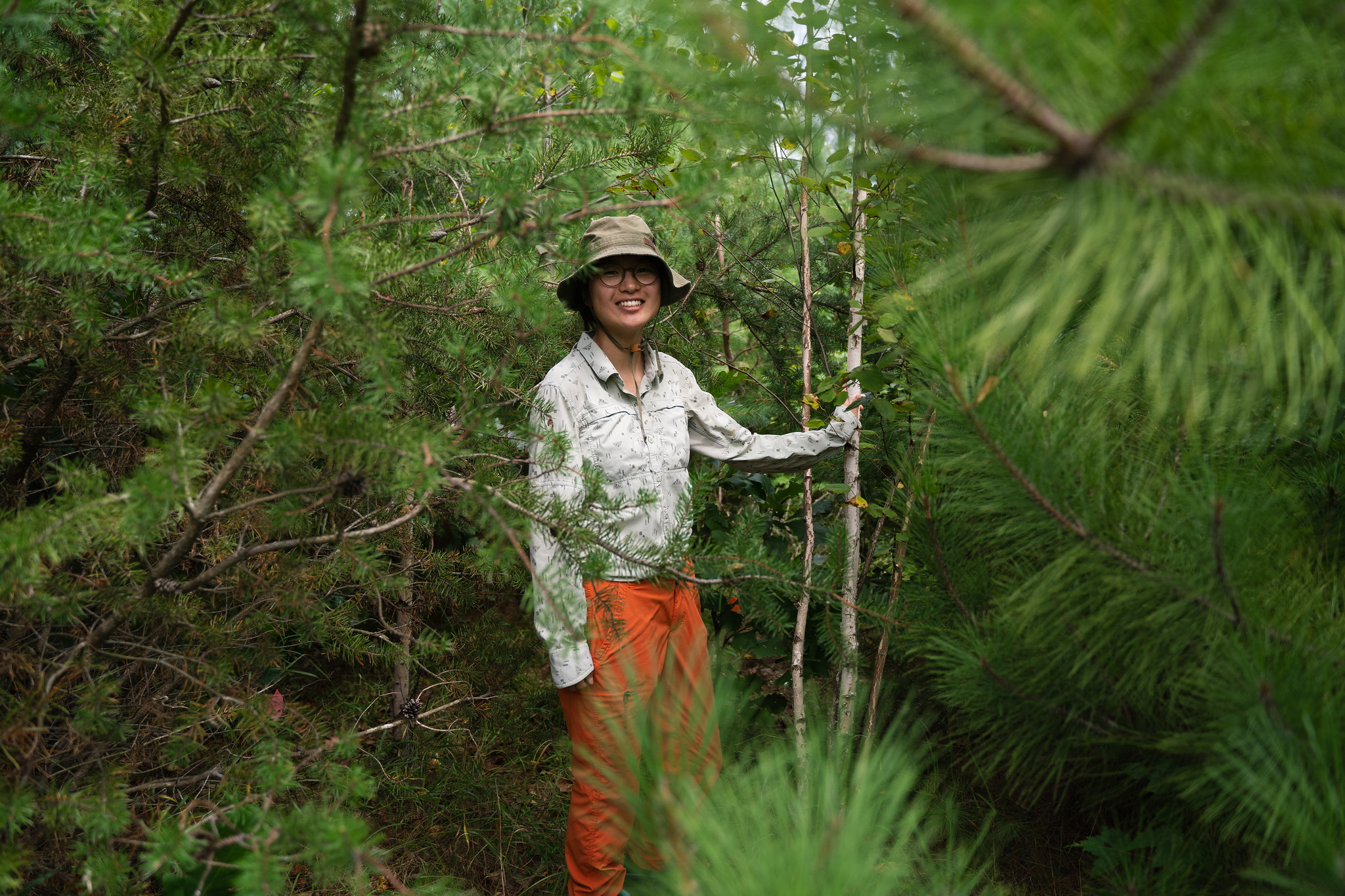 Maria Park's "tree neighborhood"