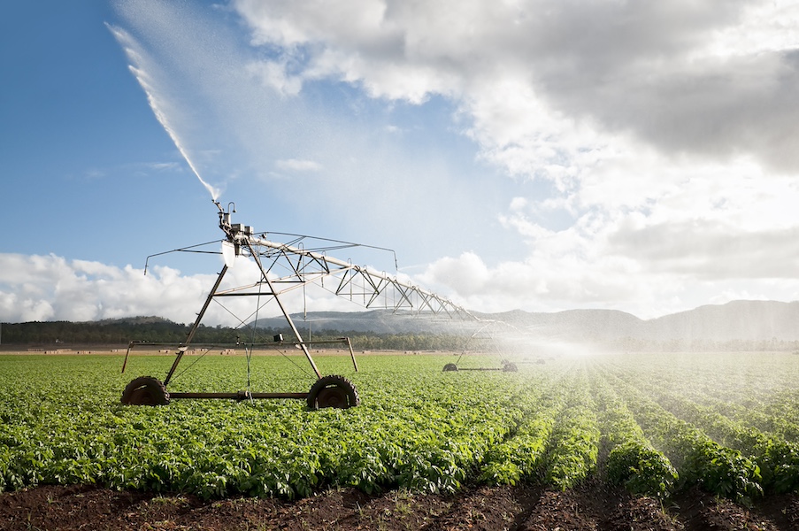 Irrigation system sprays over a field