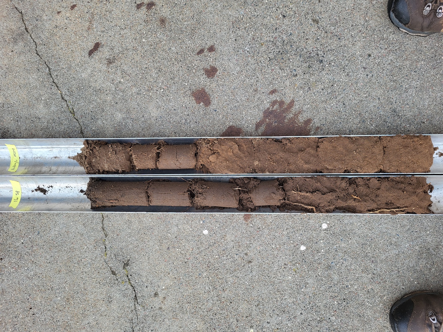 two large soil cores on concrete