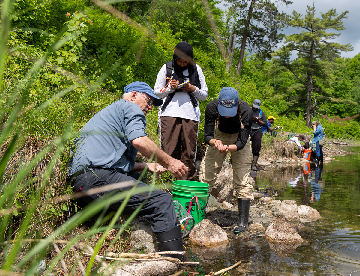 Professor Brian Wisenden collecting pumpkin seed minnows