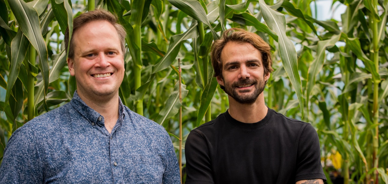 Two men stand in front of a corn field.