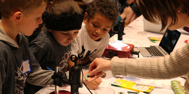 students learn about insect life cycles at STEM day