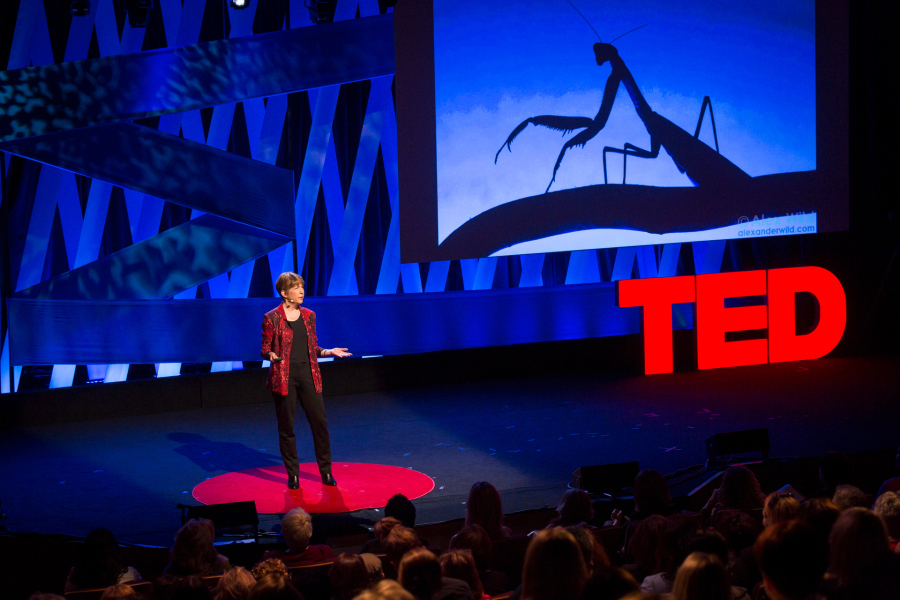 Marlene Zuk at TEDWomen