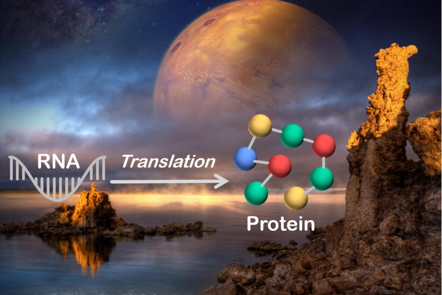 image of space scene in background with RNA > Translation > Protein in the foreground