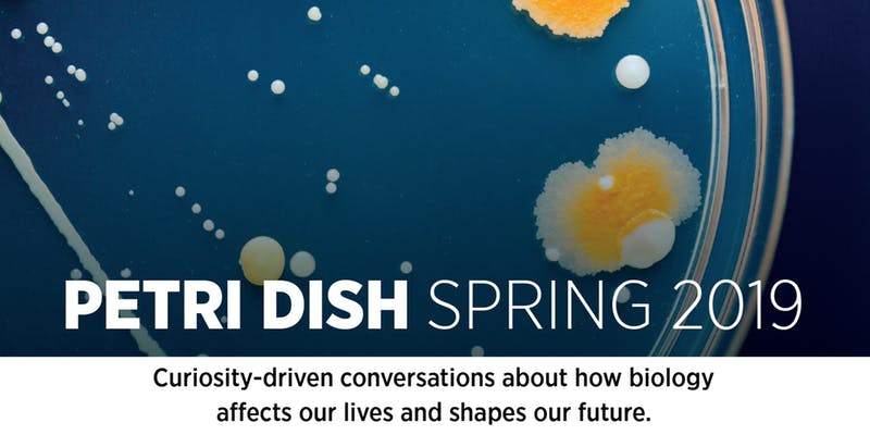 Petri Dish - Spring 2019