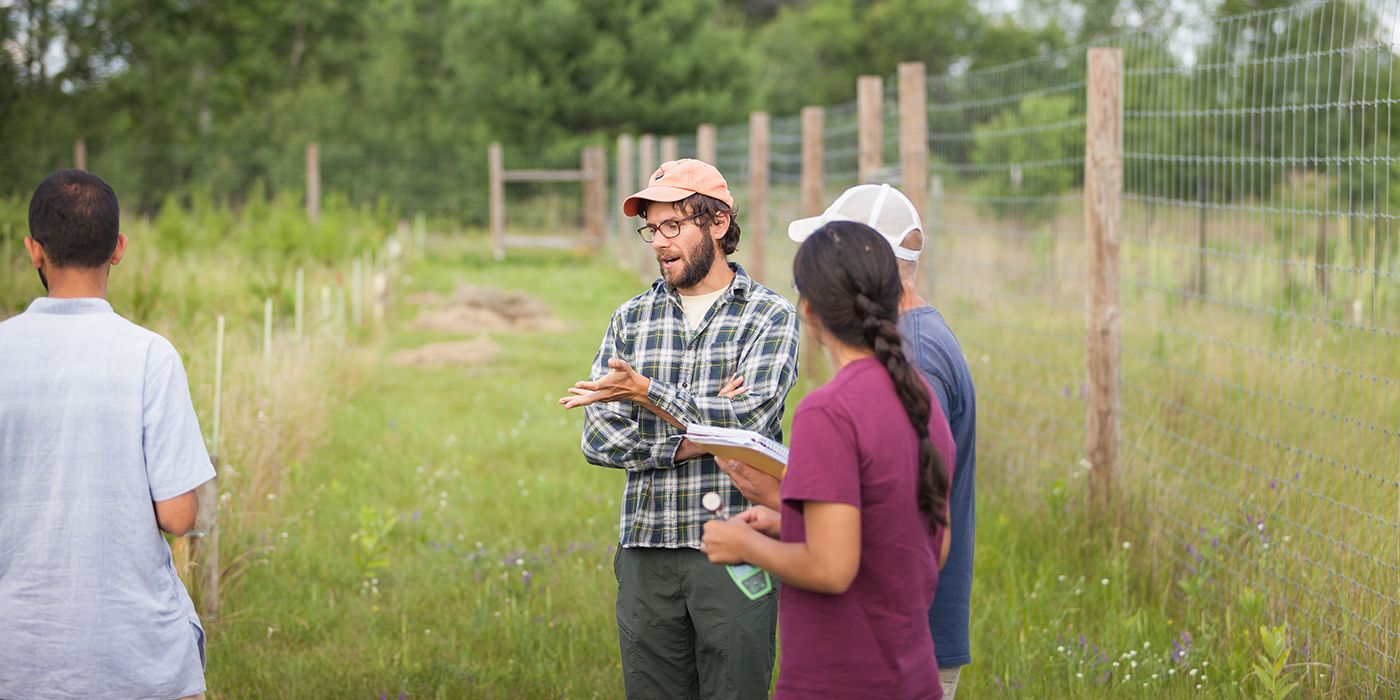 Researchers in the field at Cedar Creek