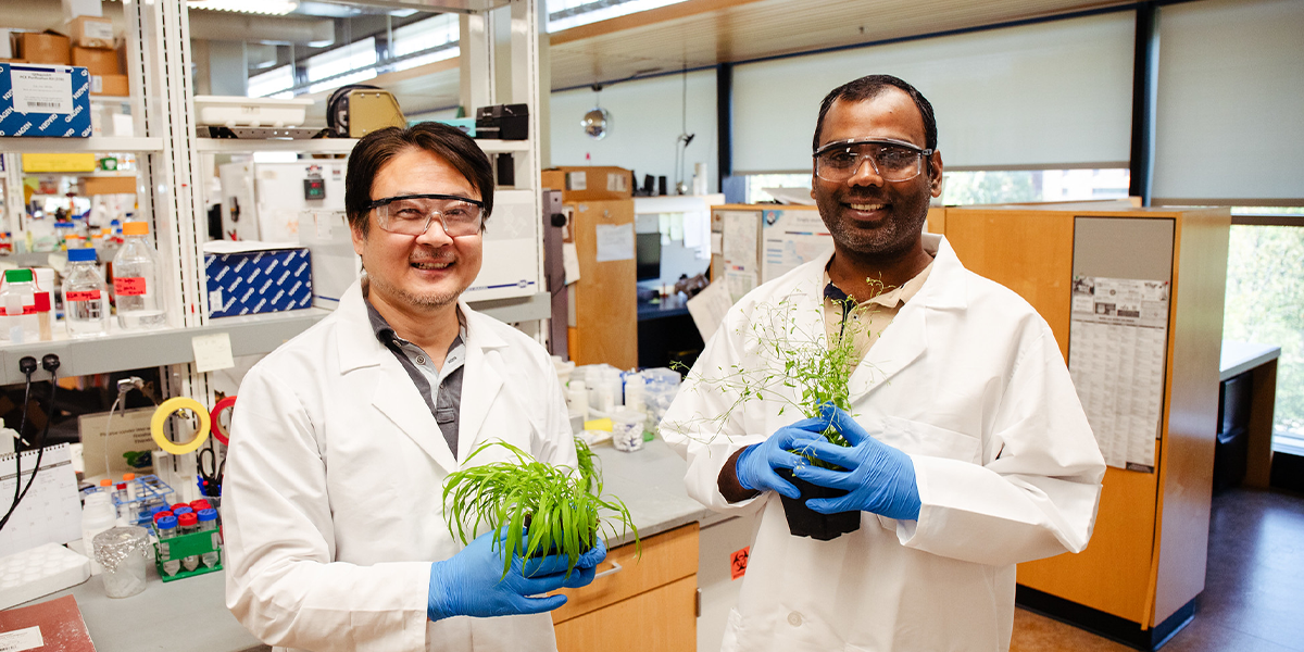 Feng Zhang and Jitesh Kumar working with plants