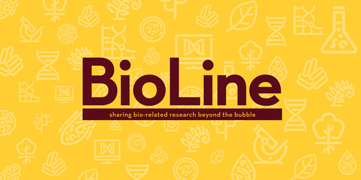 BioLine - sharing bio-related research beyond the bubble