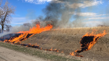 Prairie burn in progress as fire burns up a small hill.
