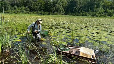 Emily Schilling looking for dragonflies with a net at Itasca