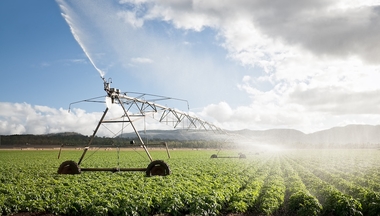 Irrigation system sprays over a field