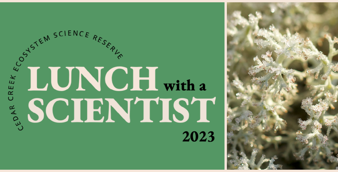 Green background with text 'Cedar Creek Ecosystem Science Reserve Lunch with a Scientist 2023' next to image of lichen with frost