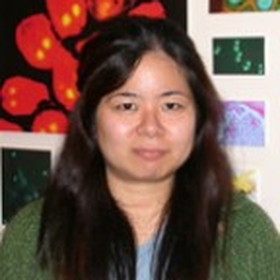 Naoko Shima headshot