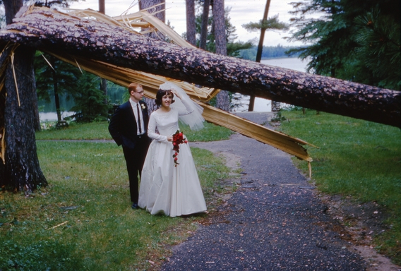 Linda and David Maschwitz on their wedding day at Itasca Biological Station and Laboratories pose in front of a fallen tree. 