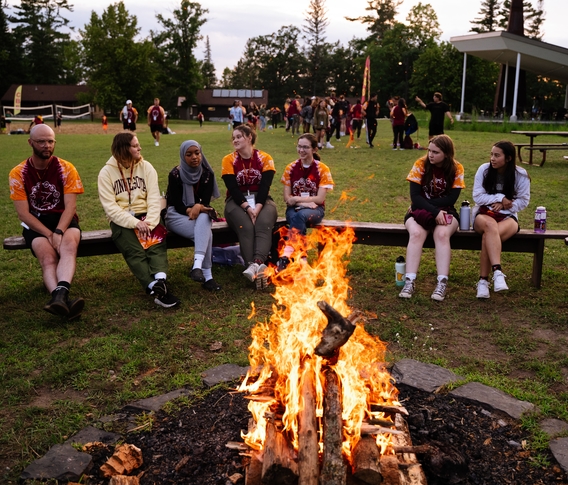 People sitting near a campfire