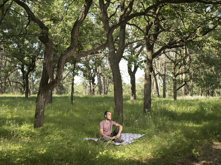 researcher sitting on a blanket under oak trees