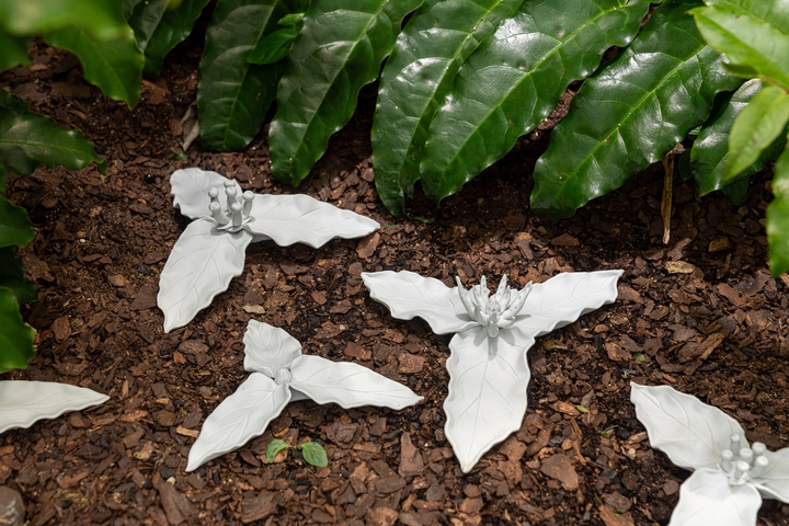 White ceramic sculpture in the shape of a plant, placed on the ground alongside a plant's leaf.