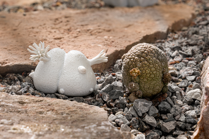 White ceramic sculpture resembling a Pseudolithos plant placed in rocks next to a true Pseudolithos plant