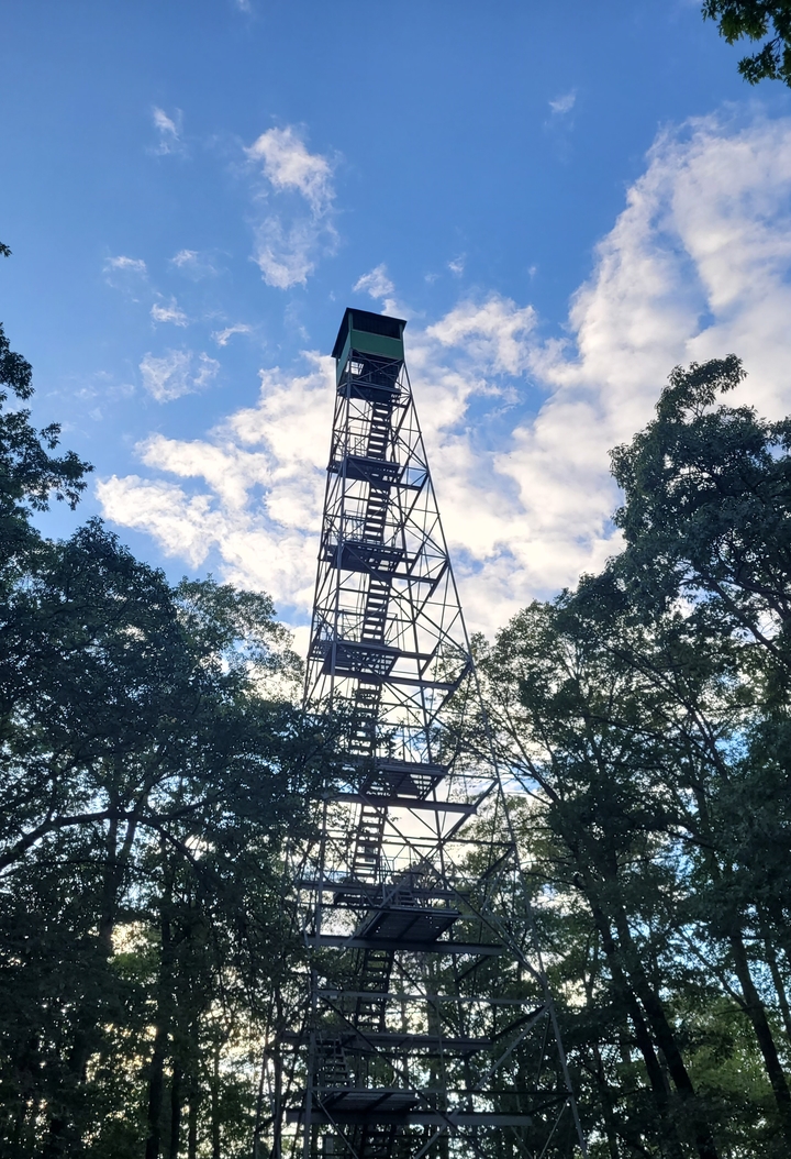 Firetower at Itasca State Park