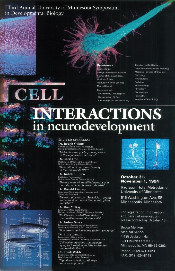 3rd Annual DBC Symposium poster. Titled "Cell Interactions in Neurodevelopment"