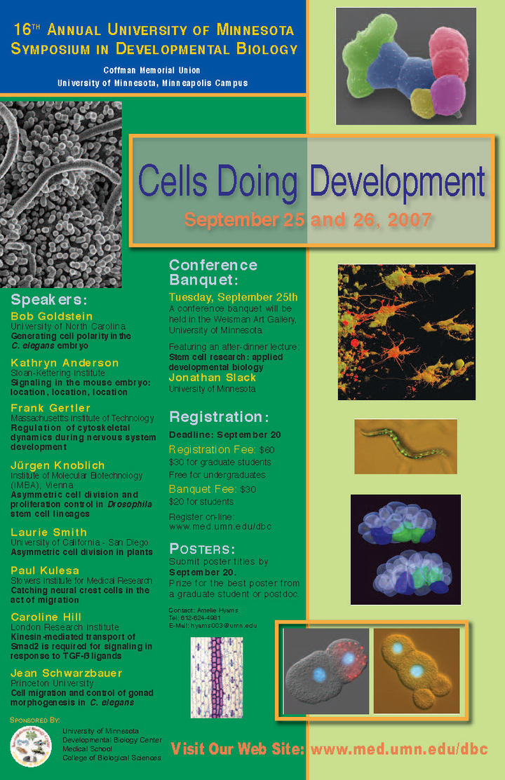 16th Annual DBC Symposium poster. Titled "Cells Doing Development"
