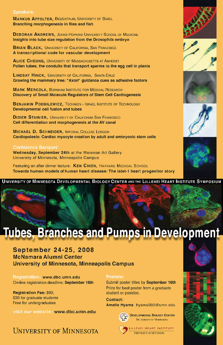 18th Annual DBC Symposium poster. Titled "Tubes, Branches and Pumps in Development"