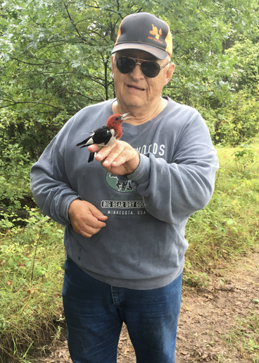 Dick Huempfner holding a woodpecker at Cedar Creek. 